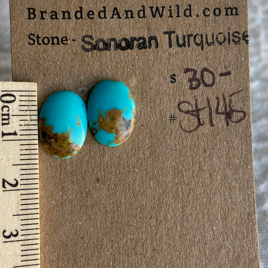 Sonoran Turquoise Cabochon - ST145
