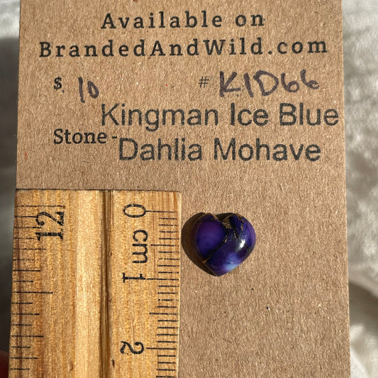 Kingman Ice Blue Dahlia Mohave - KID66 6C8B5626-68C5-4BAA-812D-79511BCD3B36 Brandedandwild.com