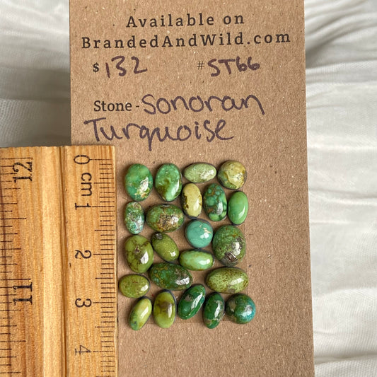 Sonoran Turquoise Cabochon - ST66 6C8B98A5-731F-40EF-911D-72E438B809AC Brandedandwild.com