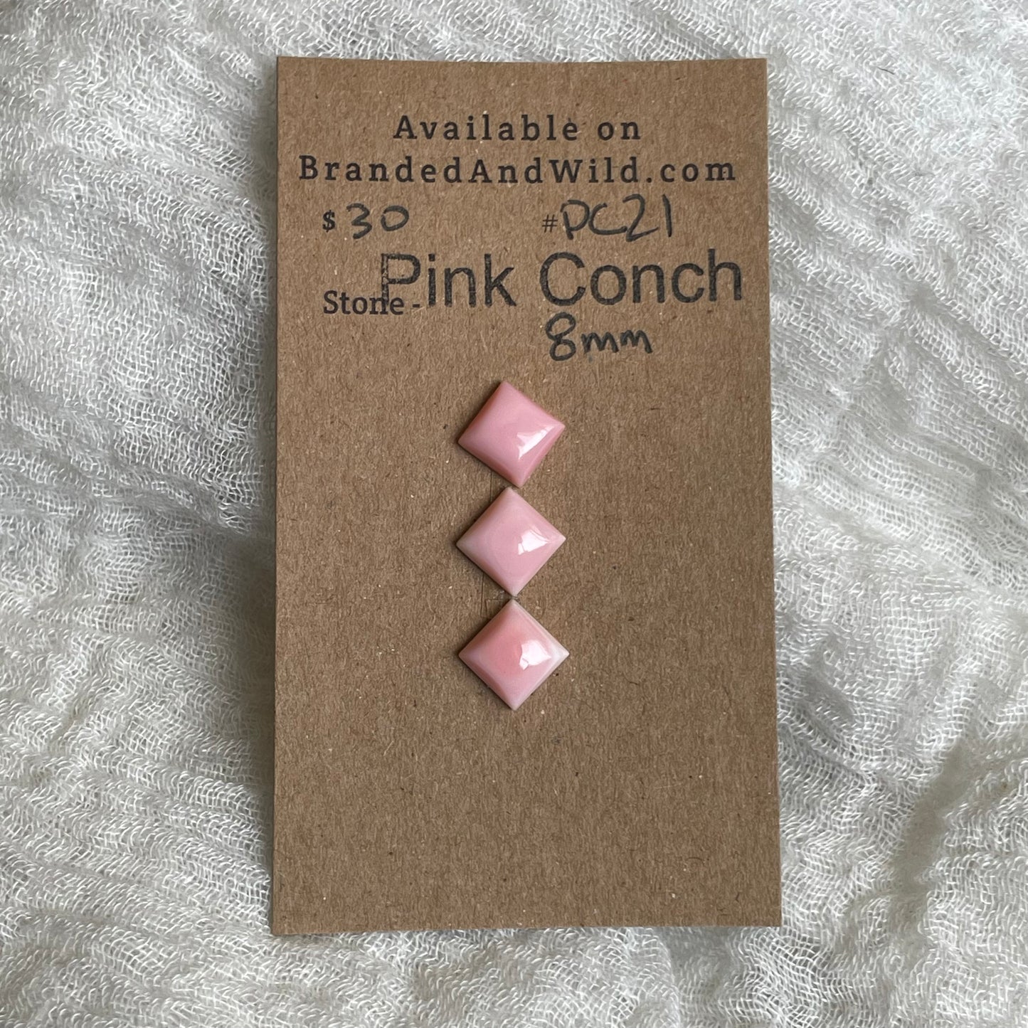 Pink Conch Cabochon - PC21