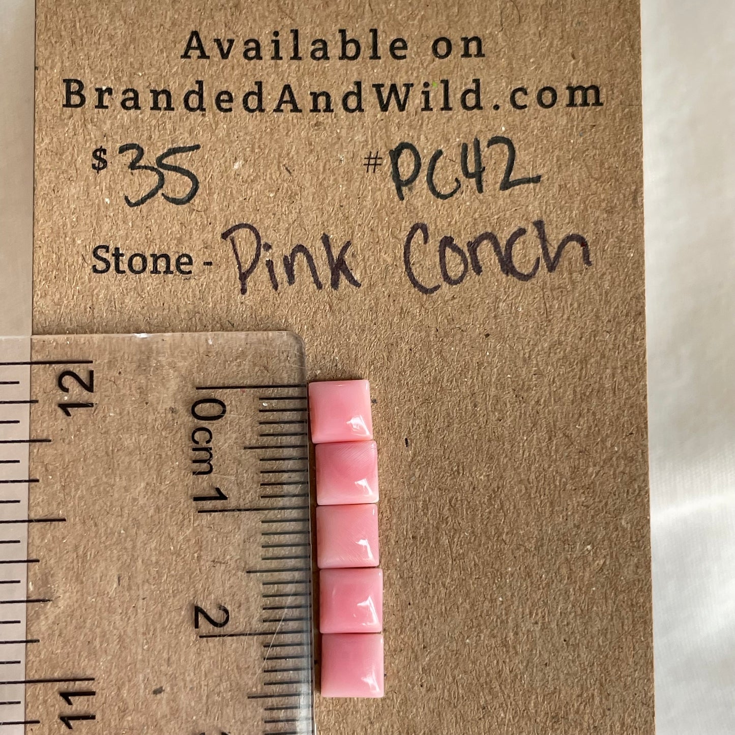 Pink Conch Cabochon - PC42