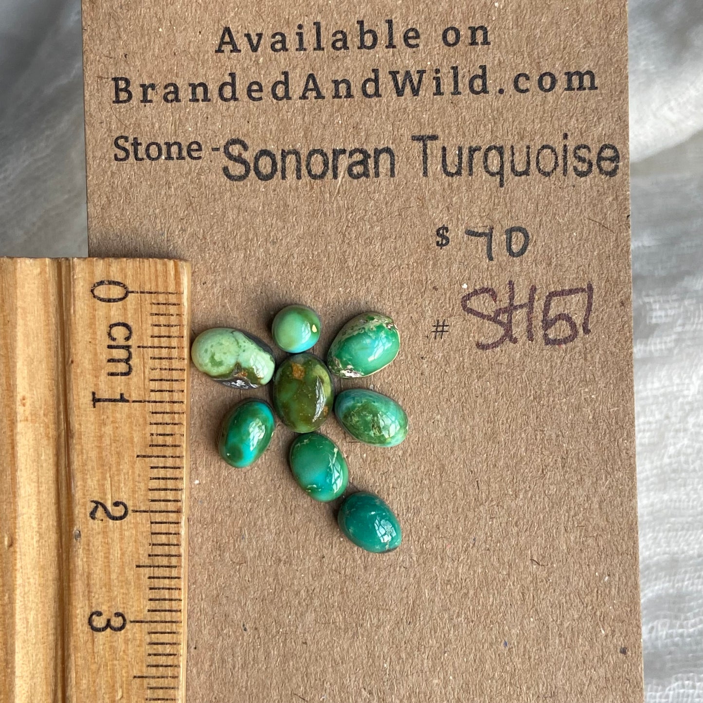 Sonoran Turquoise Cabochon - ST151