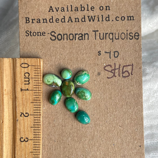 Sonoran Turquoise Cabochon - ST151