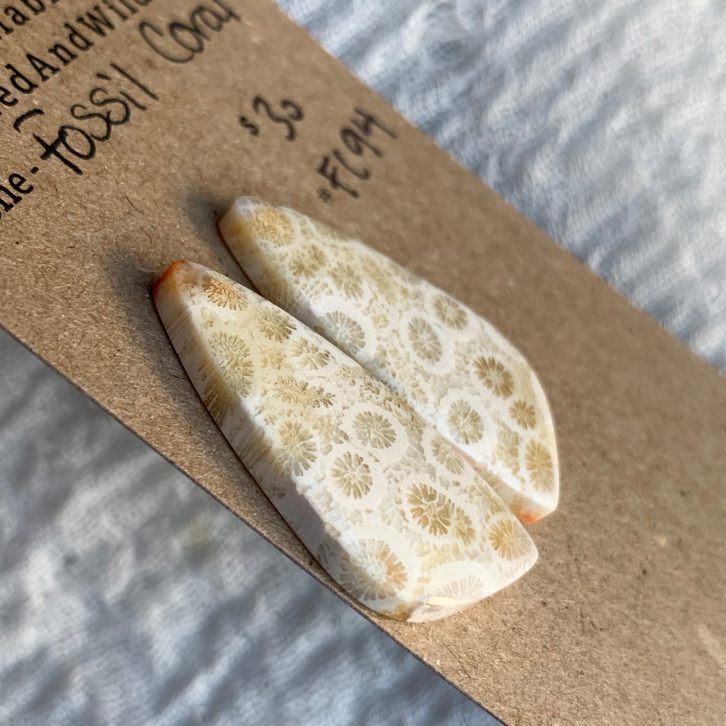Fossil Coral Cabochon - FC94