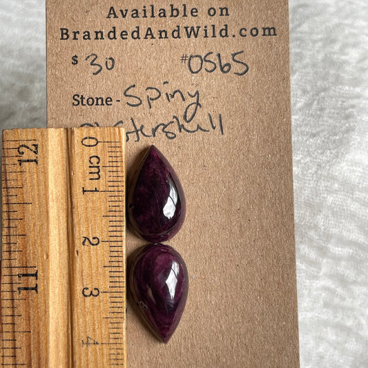 Spiny Oyster Shell Cabochon - OS65 6CF56E3A-5F36-4E6A-BE44-D00697BB756E Brandedandwild.com