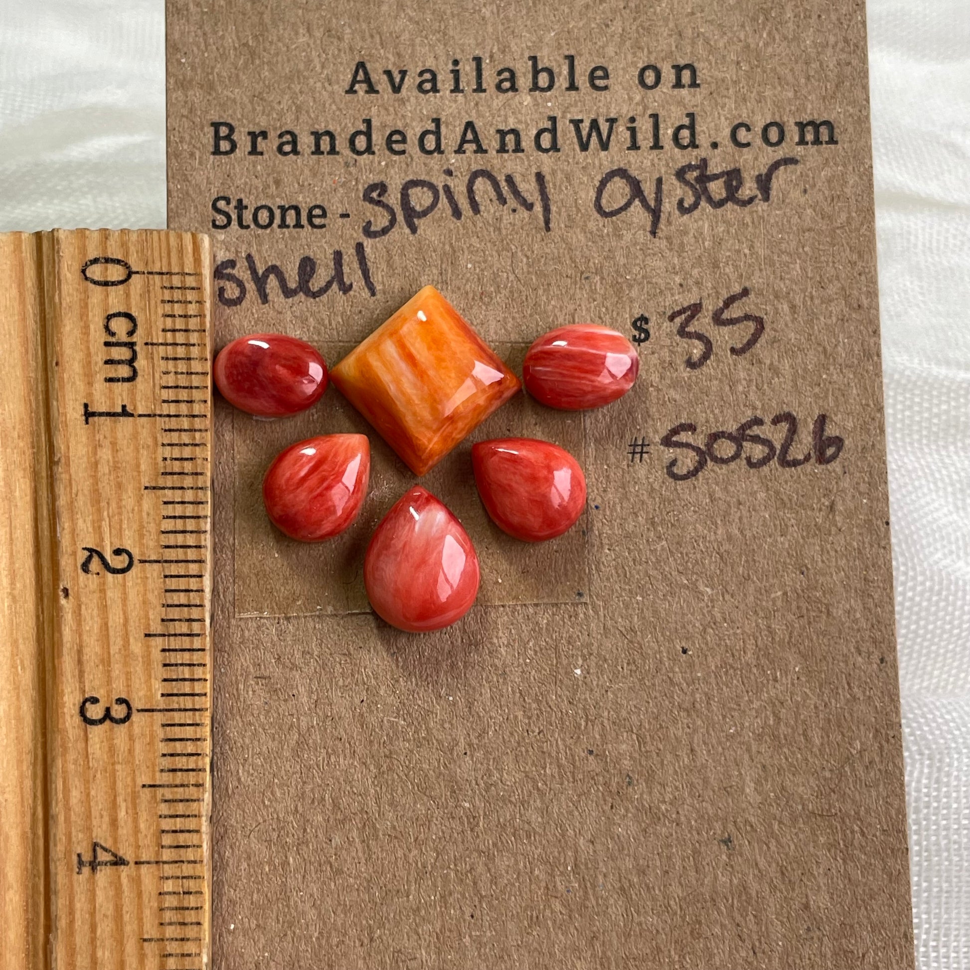 Oyster Shell Cabochon - 0S26 6CFA24FA-E3BB-4311-9DD9-495DE755A899 Brandedandwild.com