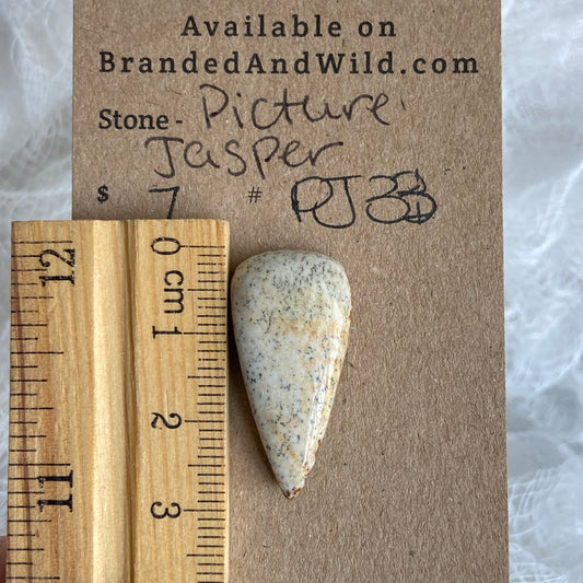 Picture Jasper Cabochon - PJ33