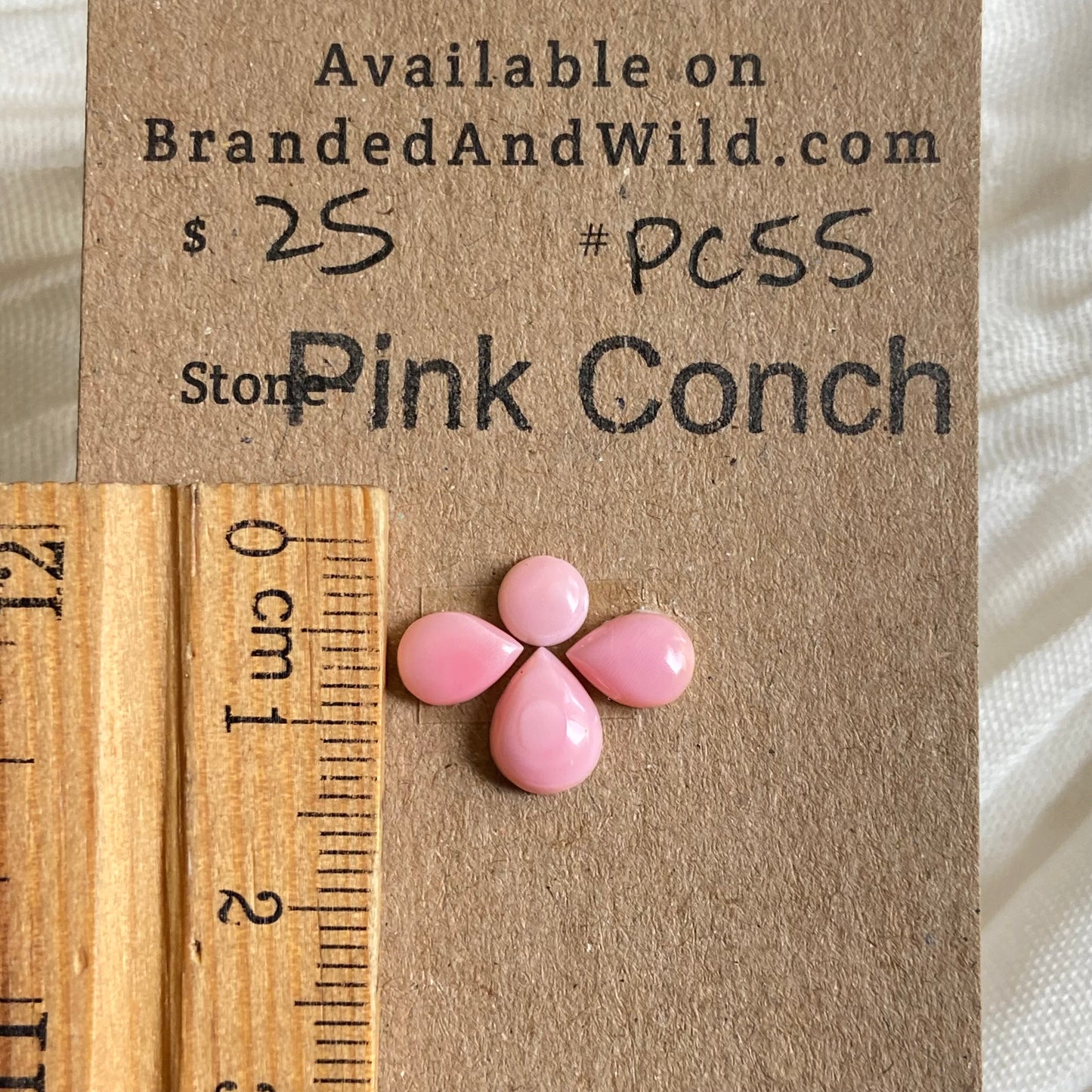 Pink Conch Cabochon - PC55 6CFC07DA-050C-4742-9703-8DD79FCF0278 Brandedandwild.com