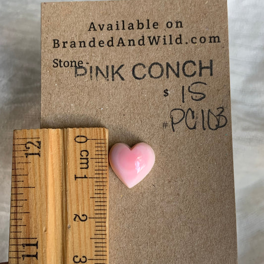 Pink Conch Cabochon - PC103