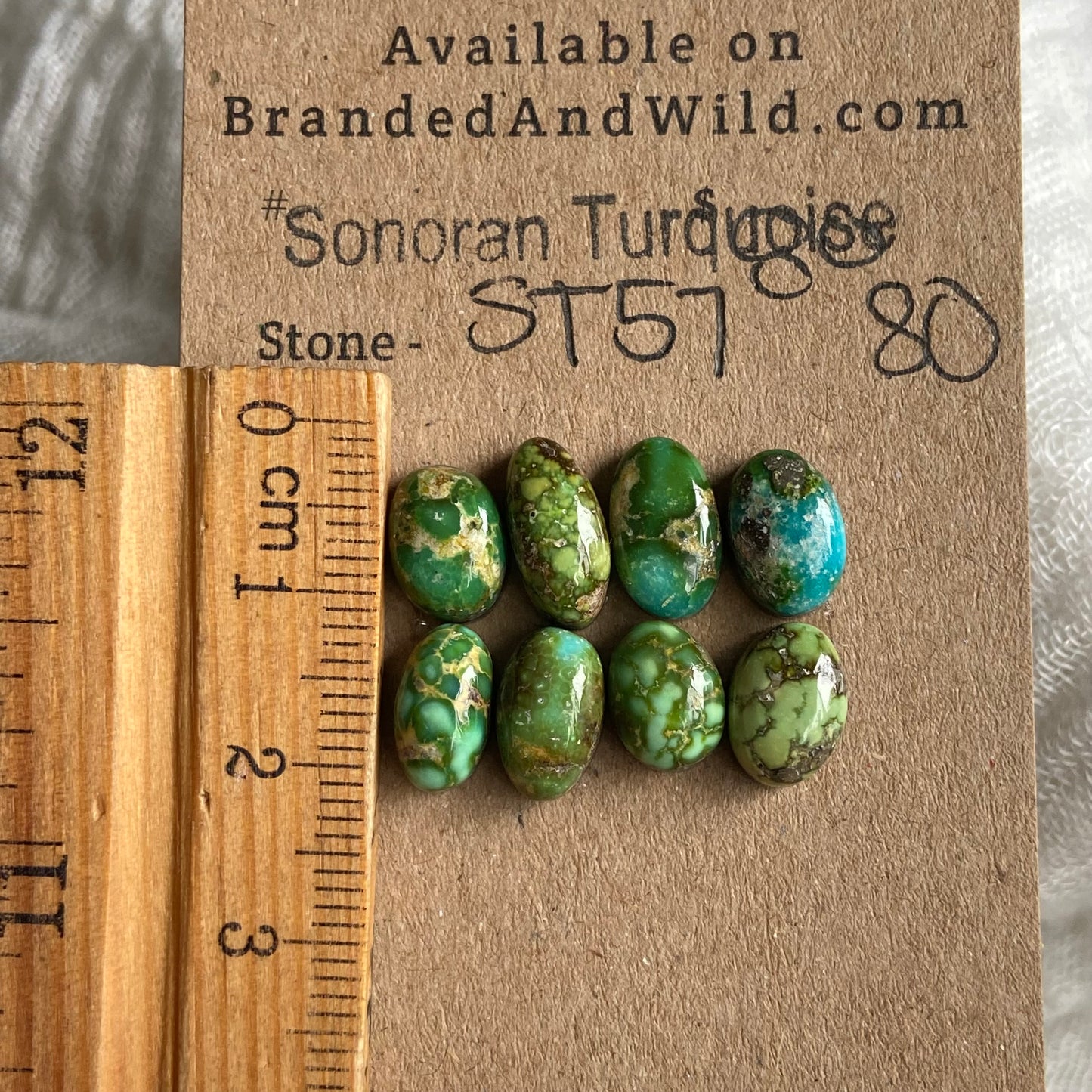 Sonoran Turquoise Cabochon - ST57