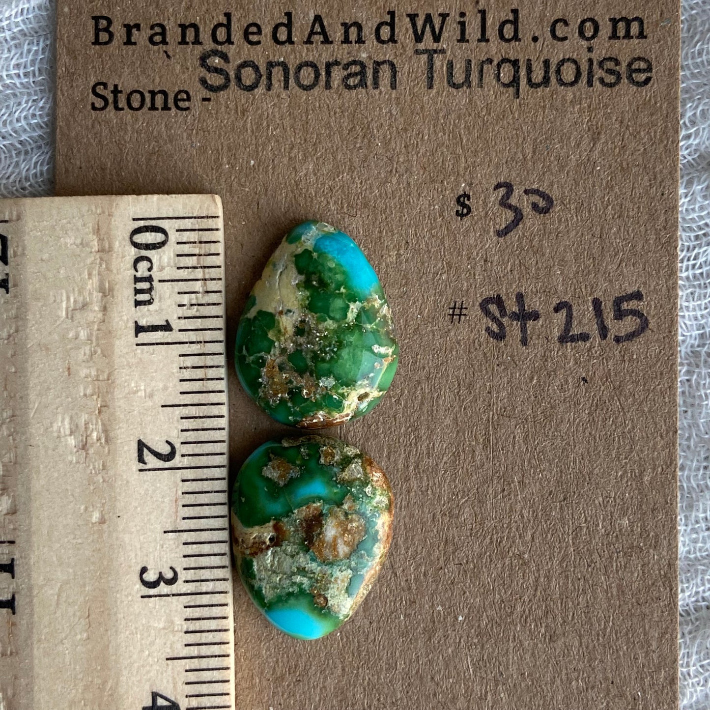 Sonoran Turquoise Cabochon - ST215