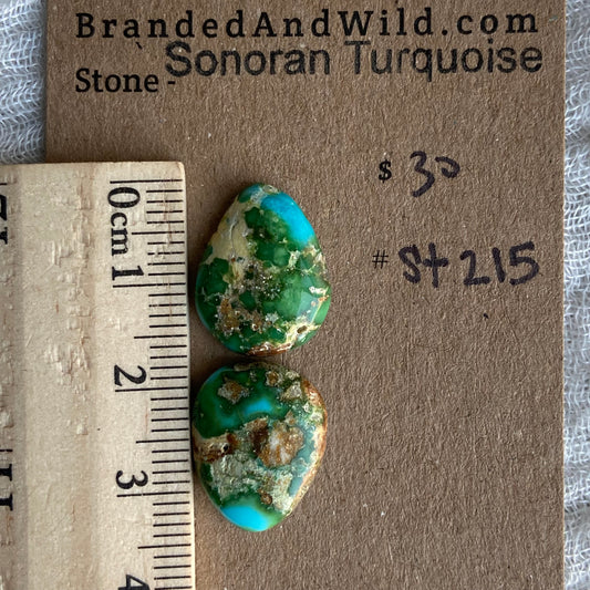 Sonoran Turquoise Cabochon - ST215