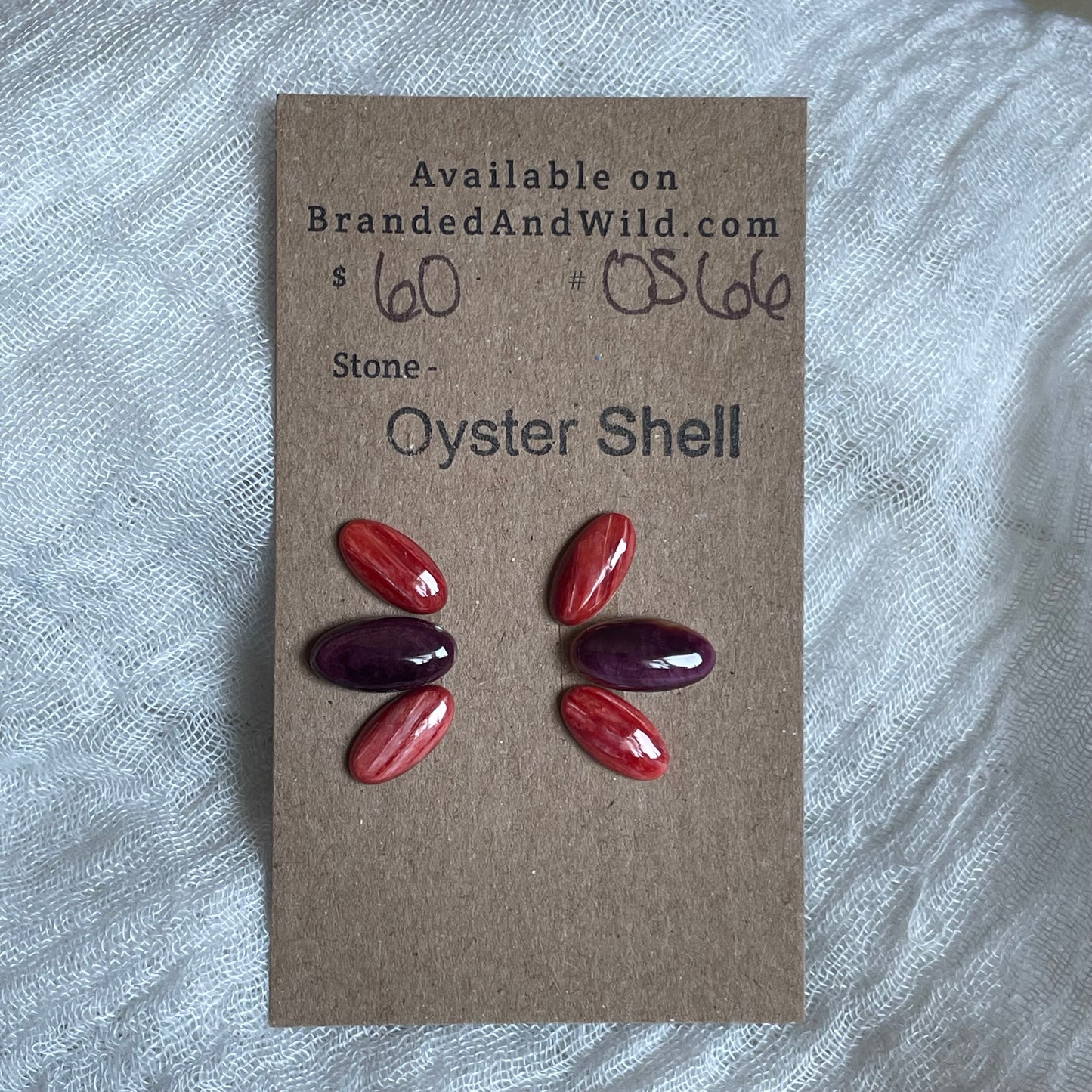 Oyster Shell Cabochon - OS66