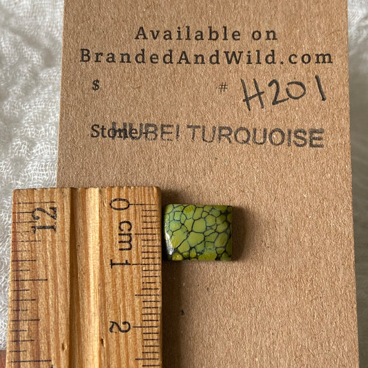 Hubei Turquoise Cabochon - H201 6D4DF6BC-9FD6-4EEE-8733-EEE354FB5AD0 Brandedandwild.com