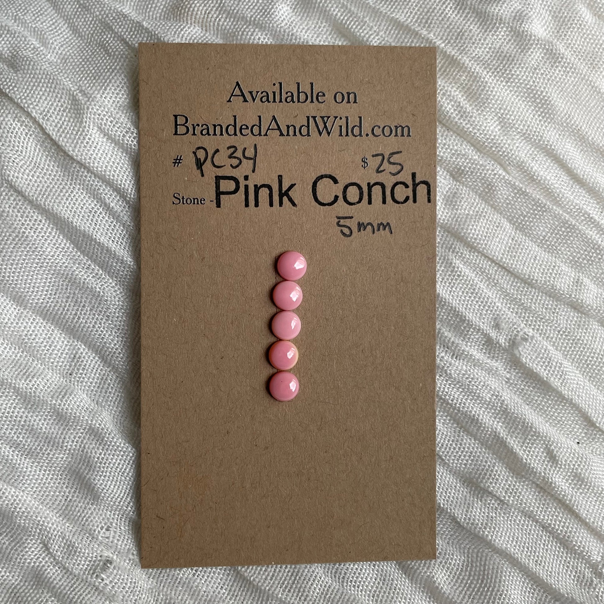Pink Conch Cabochon - PC34 6D557725-CB84-4B2C-81F6-3F5004A4748D Brandedandwild.com