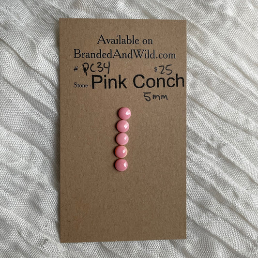 Pink Conch Cabochon - PC34 6D557725-CB84-4B2C-81F6-3F5004A4748D Brandedandwild.com
