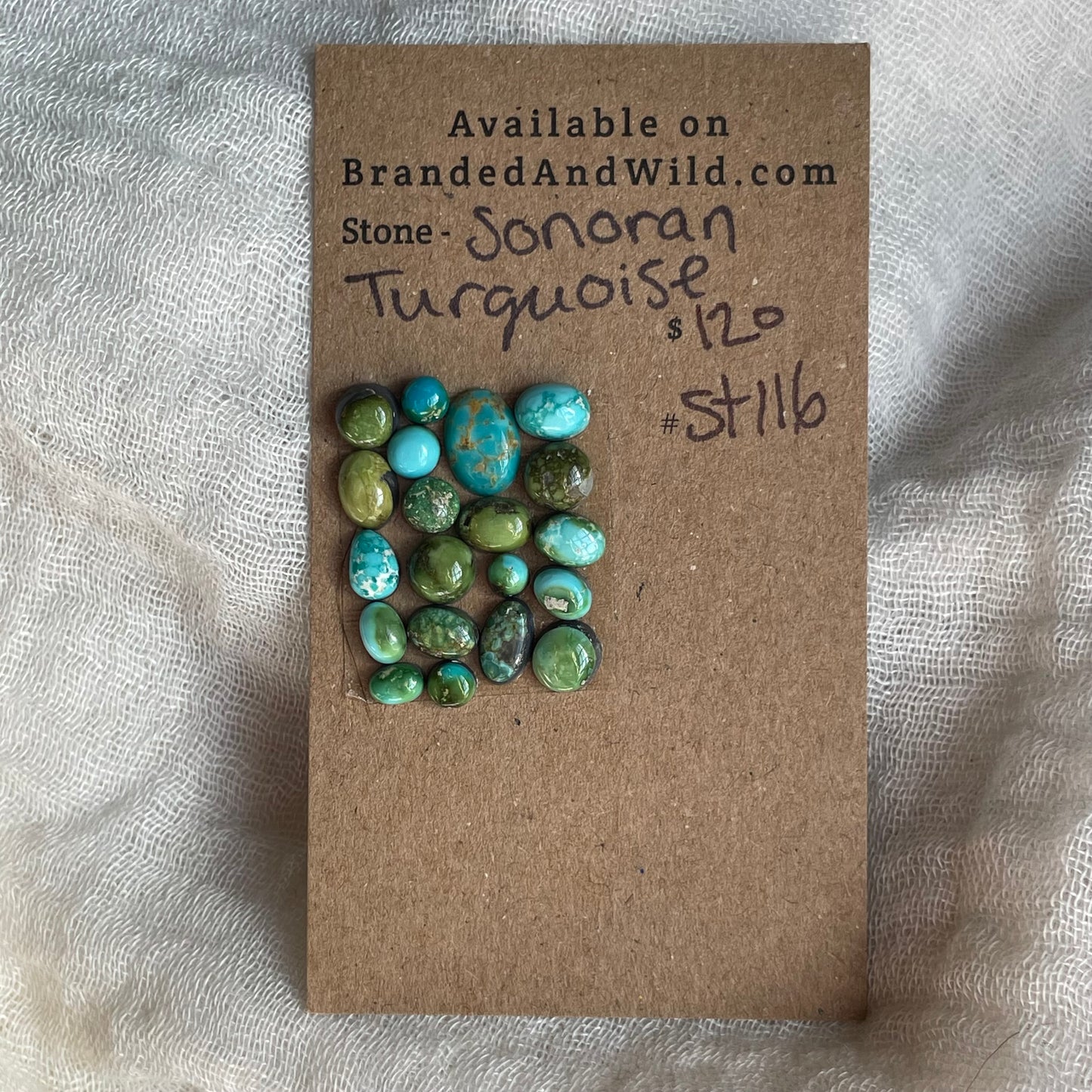 Sonoran Turquoise Cabochon - ST116
