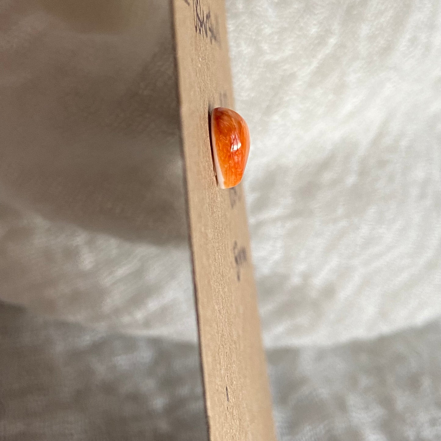 Oystershell Cabochon - OS03