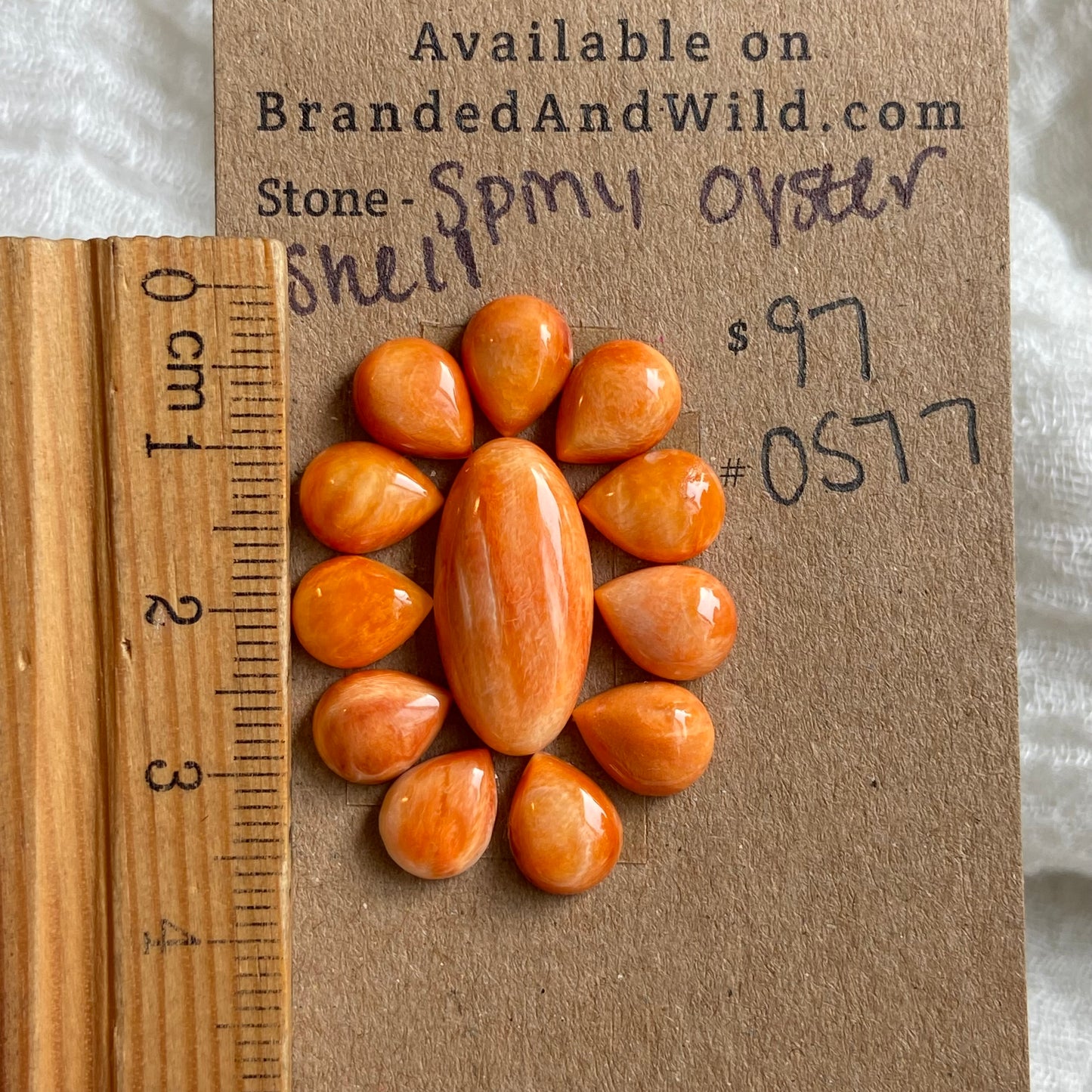 Oyster Shell Cabochon - OS77 6DB052EC-CFB0-48B2-82D3-40A66D69B0D5 Brandedandwild.com