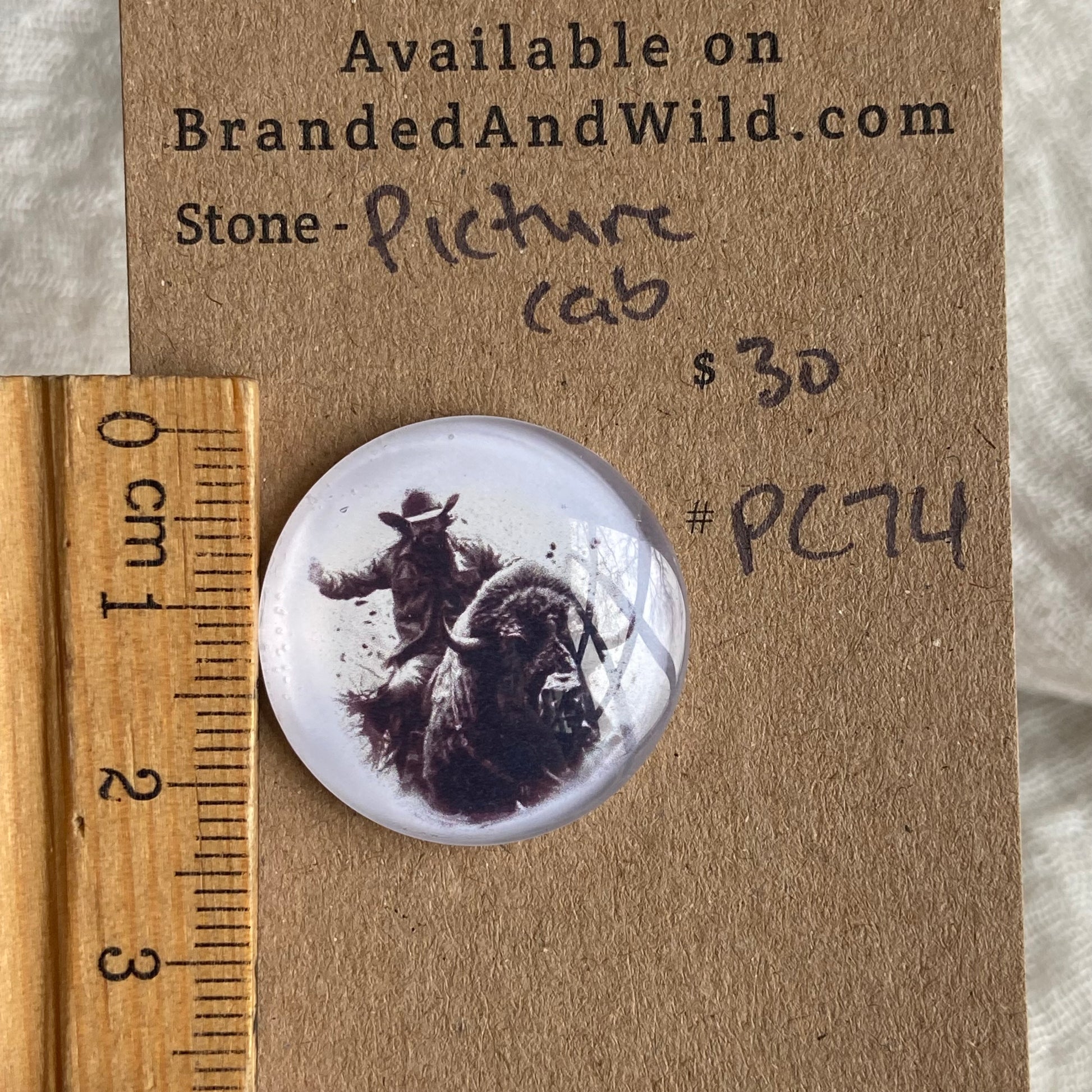 Picture Cabochon - Cabochon - PC74 6DB74C74-6C12-429D-9469-47974ED05087 Brandedandwild.com
