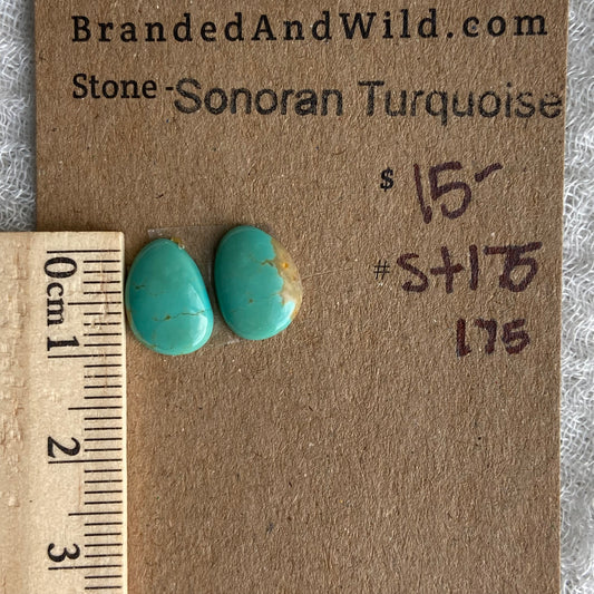 Sonoran Turquoise Cabochon - ST175