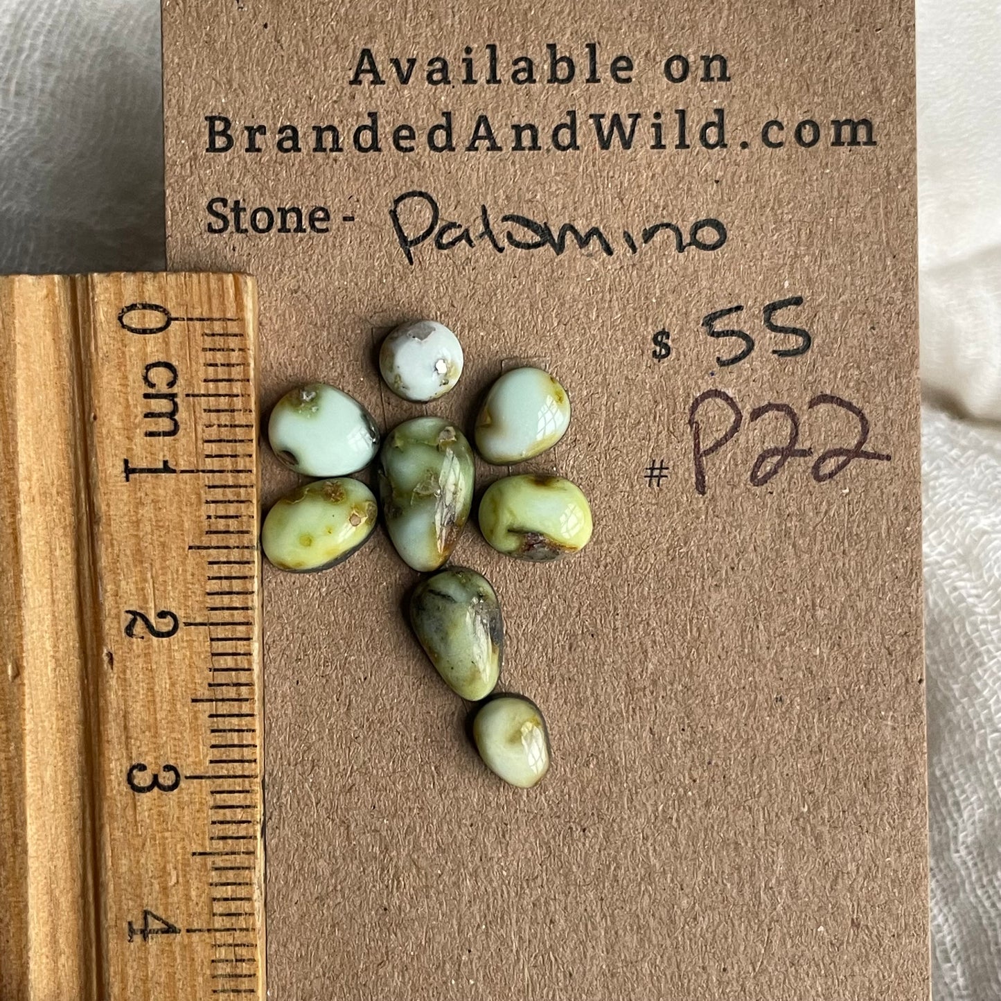 Palomino Cabochon - P22 6DE41D2B-F0E6-43F4-A38C-98773894864D Brandedandwild.com