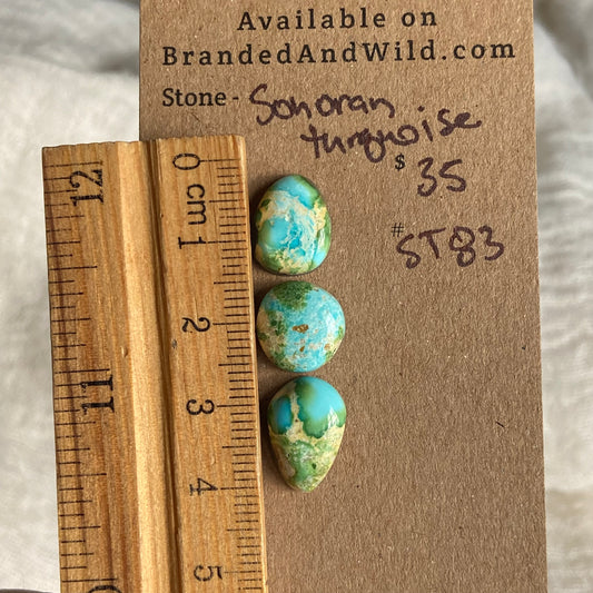Sonoran Turquoise Cabochon - ST83