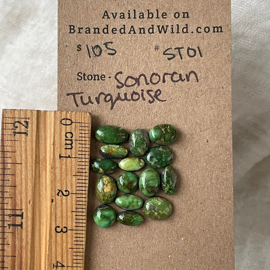 Sonoran Turquoise Cabochon - ST01 6E2F98DE-C7E5-4E7A-8C6E-B62E29E256BF Brandedandwild.com