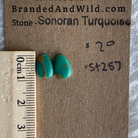 Sonoran Turquoise Cabochon - ST257