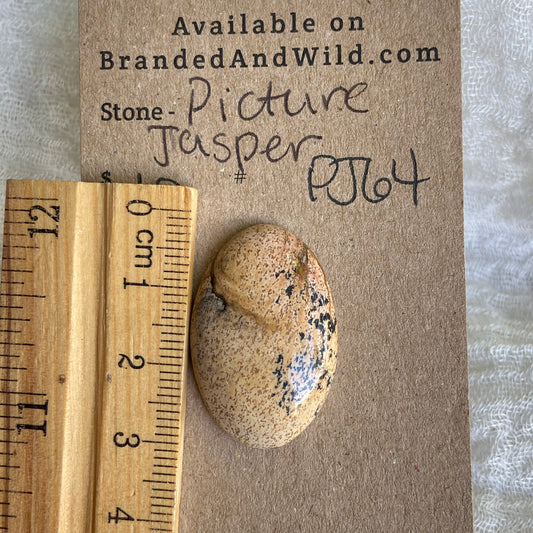 Picture Jasper Cabochon - PJ64