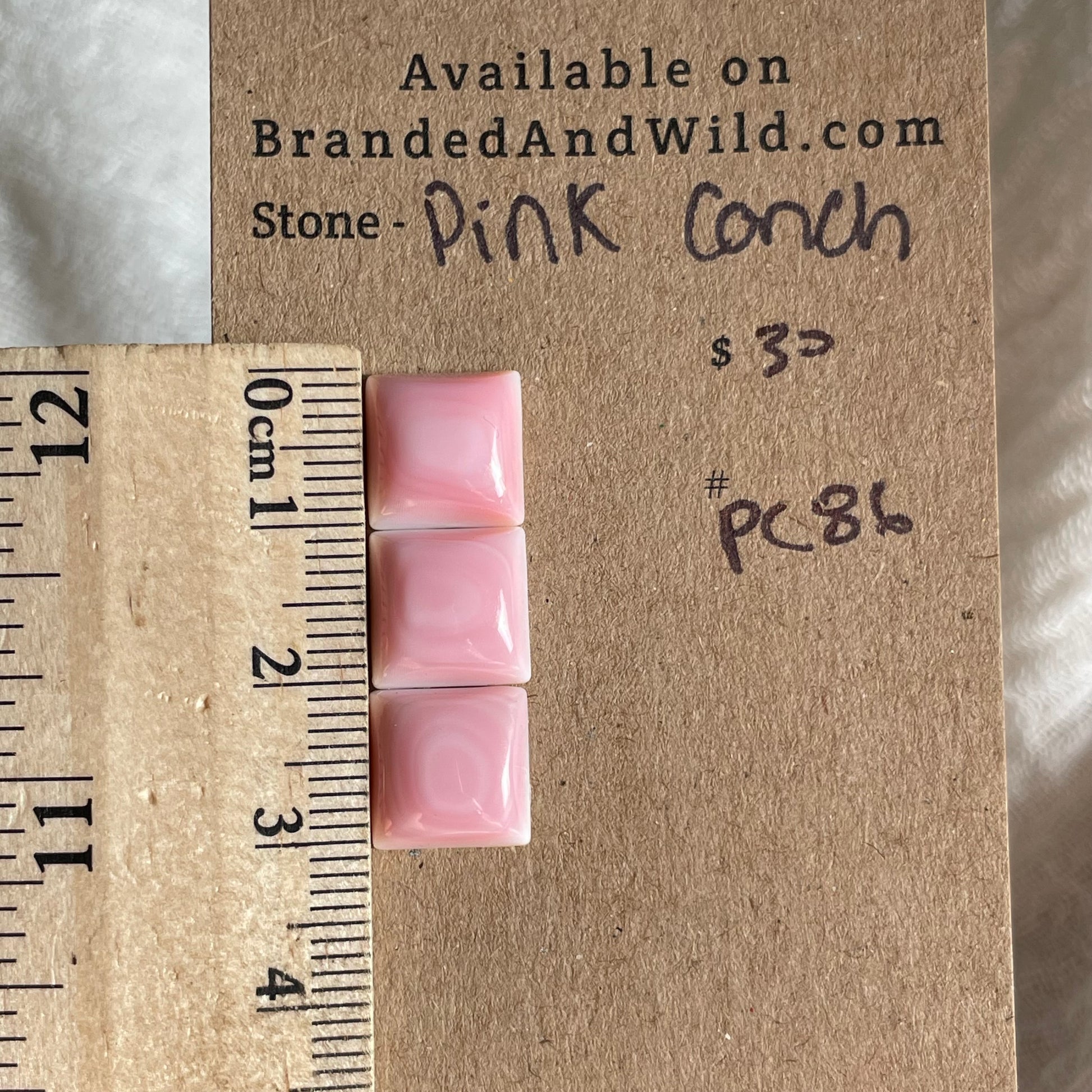 Pink Conch Cabochon - PC86 6E3BE7B7-C8A1-464F-B8DE-18F6A8FEF1B7 Brandedandwild.com
