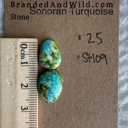 Sonoran Turquoise Cabochon - ST109