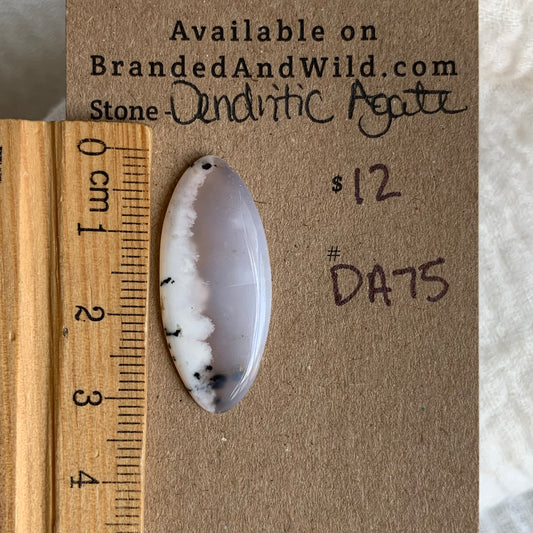 Dendritic Agate Cabochon - DA75