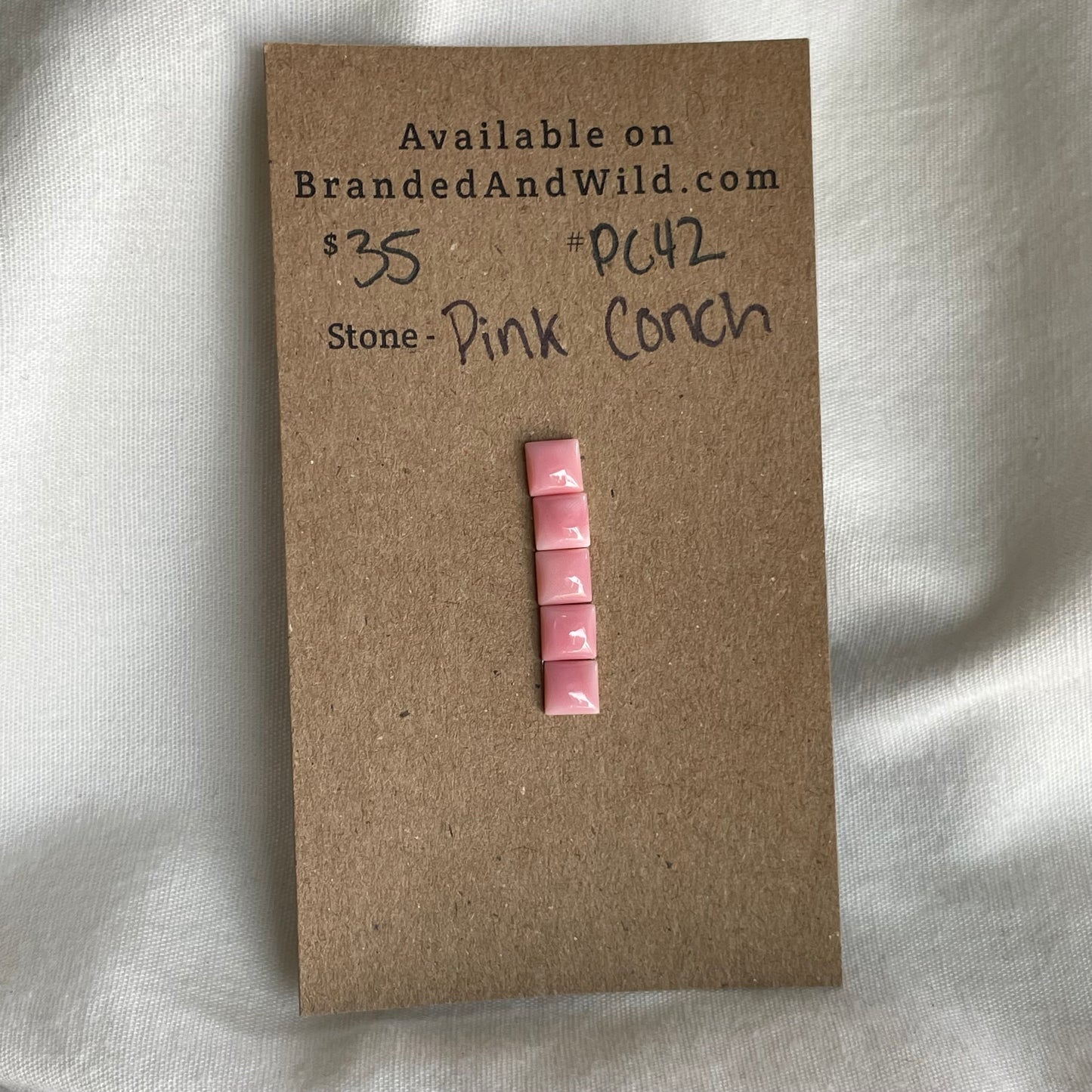 Pink Conch Cabochon - PC42