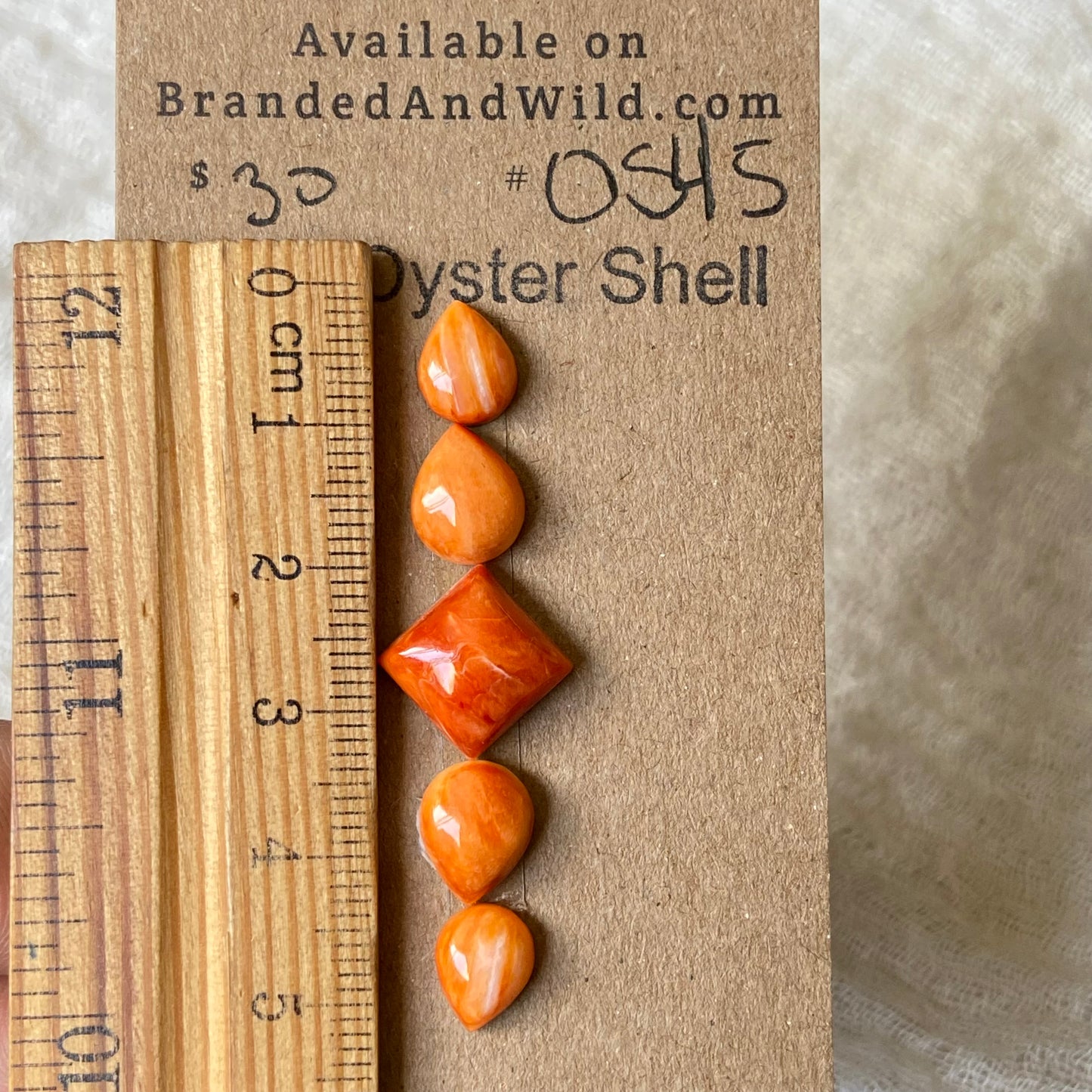 Oystershell Cabochon - OS45 6EA98F03-5CC8-4ECD-BFC5-3549D5E1C9BA Brandedandwild.com