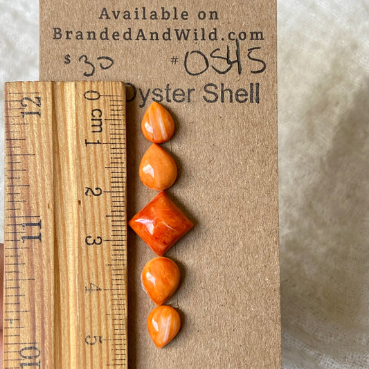 Oystershell Cabochon - OS45 6EA98F03-5CC8-4ECD-BFC5-3549D5E1C9BA Brandedandwild.com