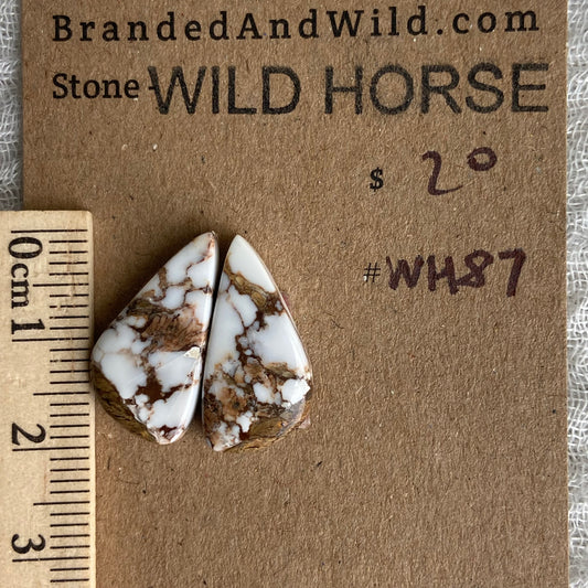 Wild Horse Cabochon - WH87