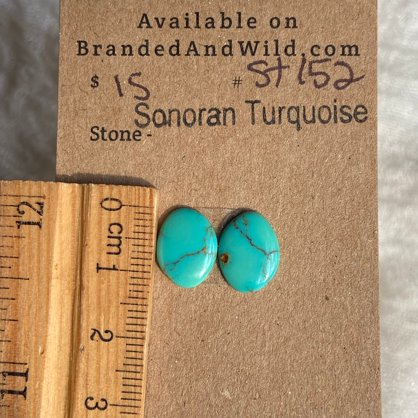 Sonoran Turquoise Cabochon - ST152