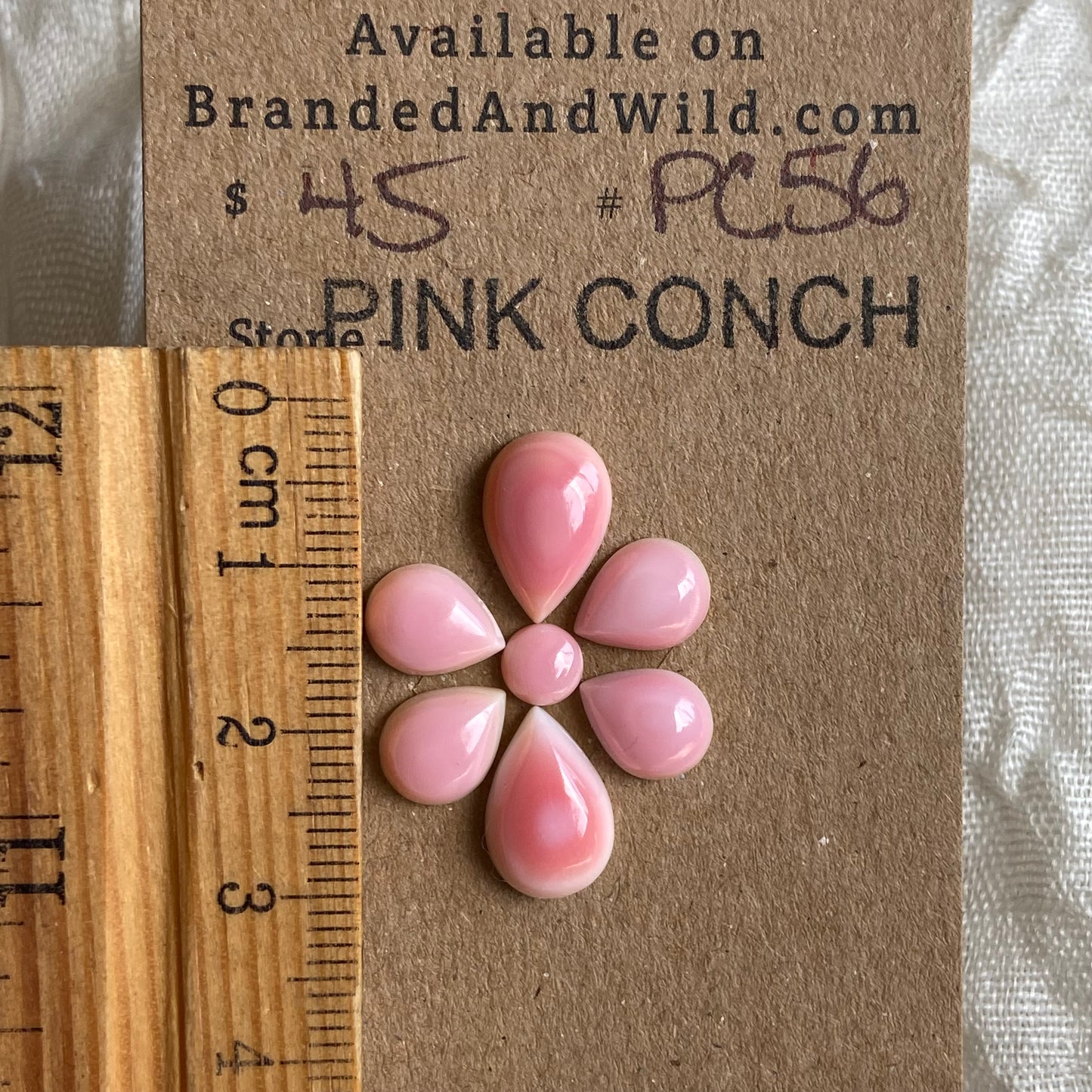 Pink Conch Cabochon - PC56 6EBEC166-7B95-4714-B674-905216235BCC Brandedandwild.com