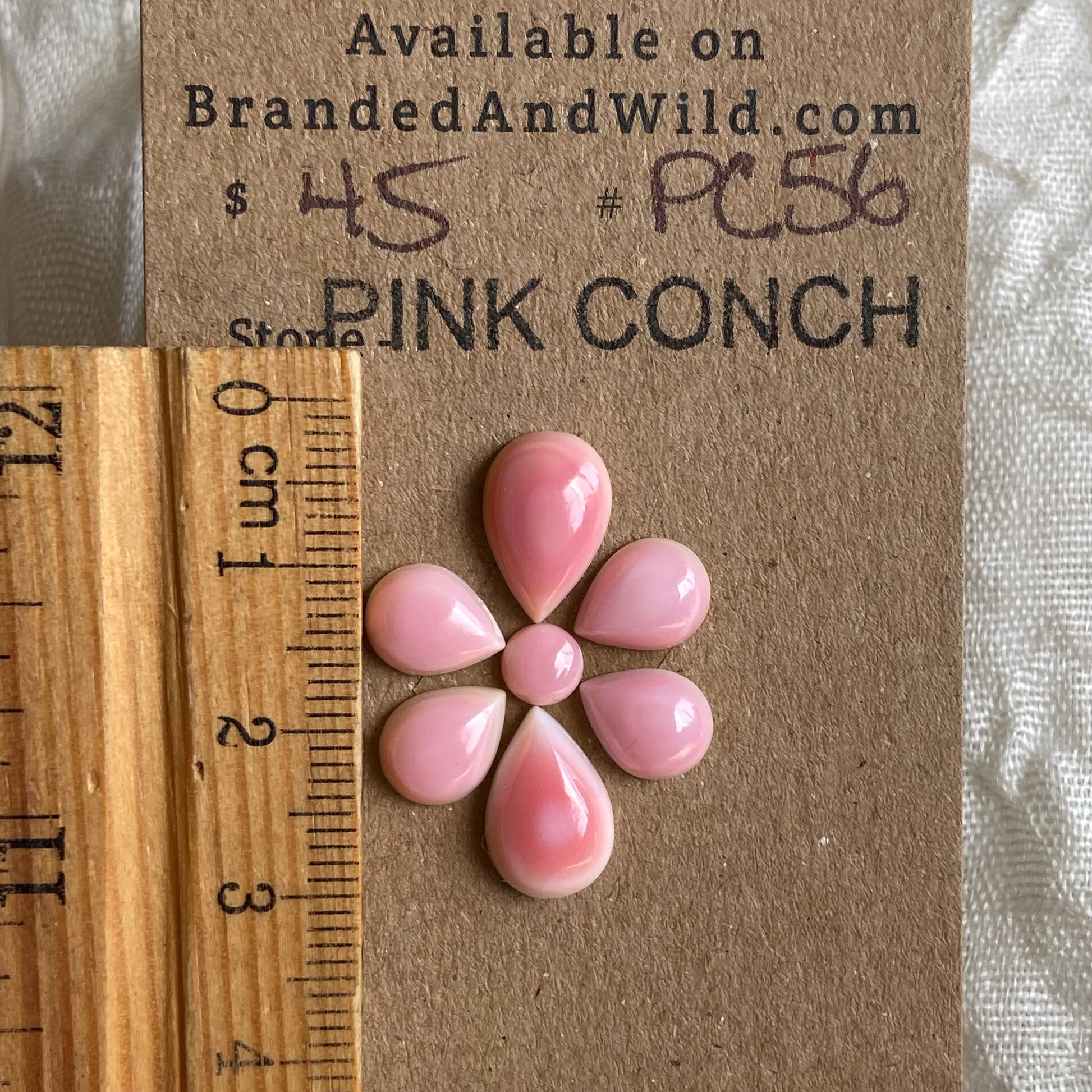 Pink Conch Cabochon - PC56 6EBEC166-7B95-4714-B674-905216235BCC Brandedandwild.com