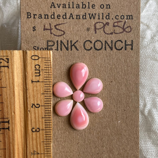 Pink Conch Cabochon - PC56 6EBEC166-7B95-4714-B674-905216235BCC Brandedandwild.com