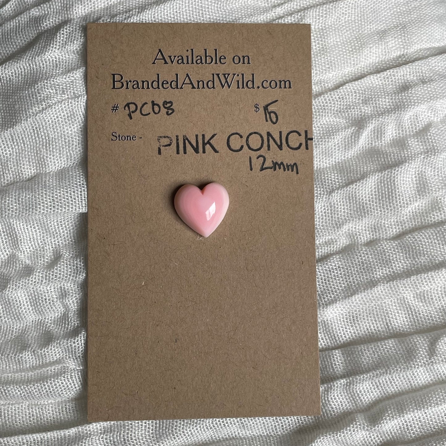 Pink Conch Cabochon - PC08 6F09D71F-AAC1-4C48-A90A-928A670982DB Brandedandwild.com
