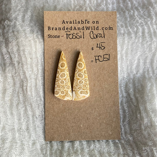 Fossil Coral Cabochon - FC51