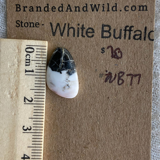 White Buffalo Cabochon - WB77