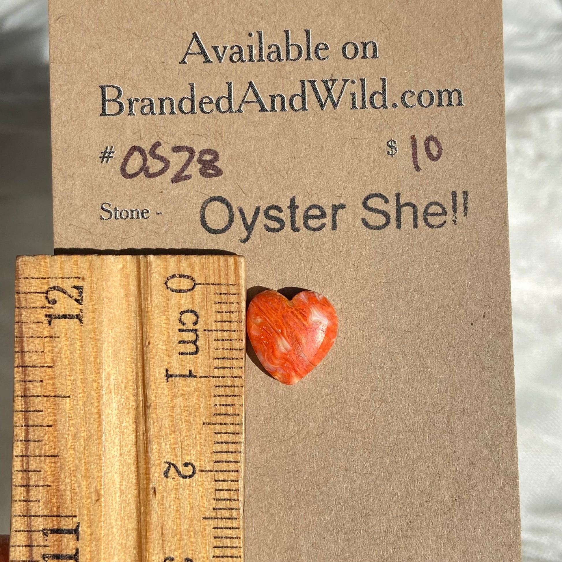 Oystershell Cabochon - OS28 6F5E606E-085C-47A5-AE9E-B8670C7AA74B Brandedandwild.com