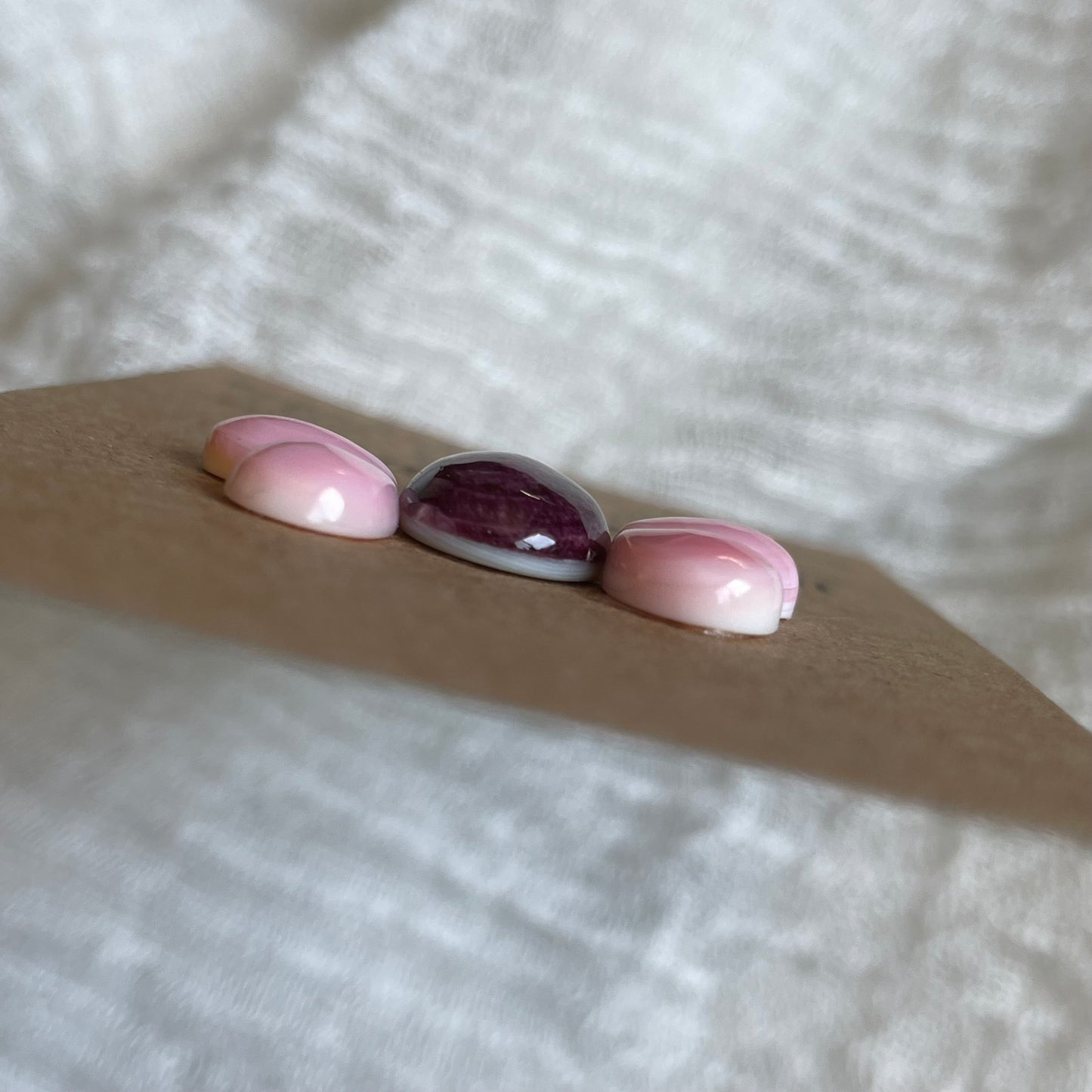 Pink Conch / Oyster Shell Cabochon - P011