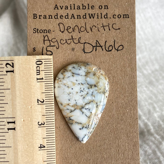 Dendritic Agate Cabochon - DA66