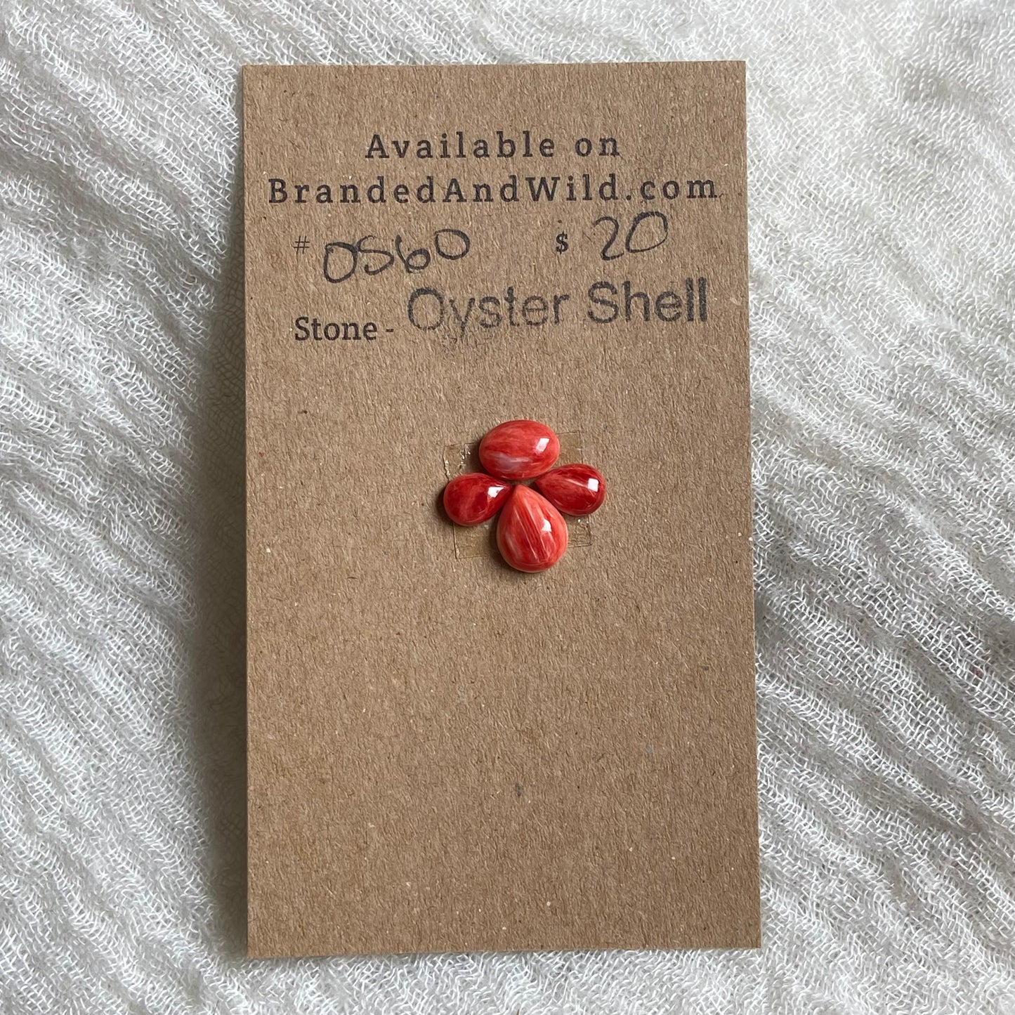 Oyster Shell Cabochon - OS60