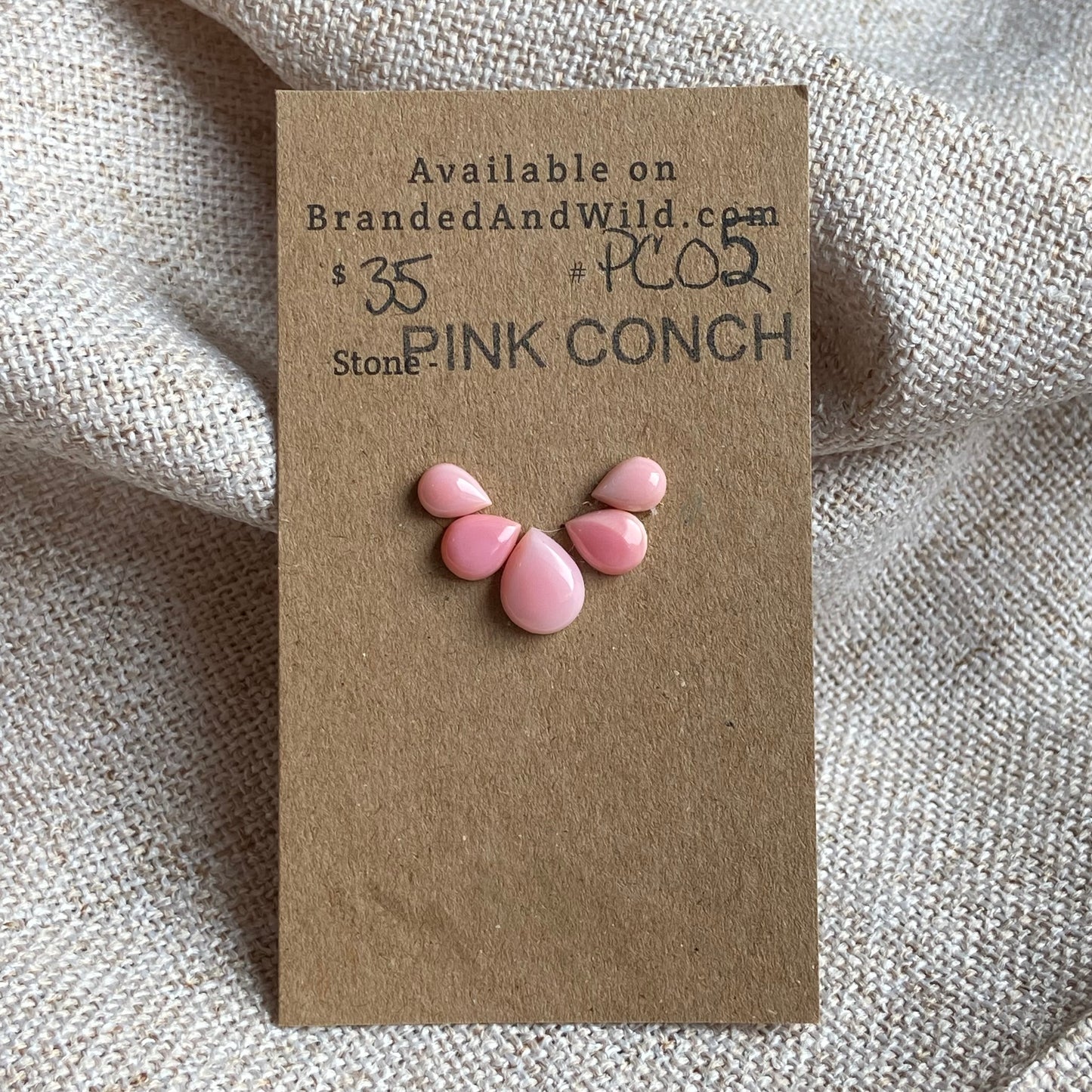 Pink Conch Cabochon - PC02 6FAD4D65-C245-4066-8F75-7F5A38257E93 Brandedandwild.com