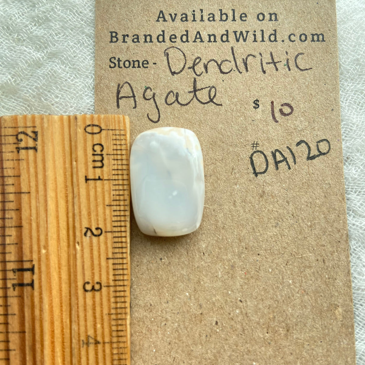 Dendritic Agate Cabochon - DA120